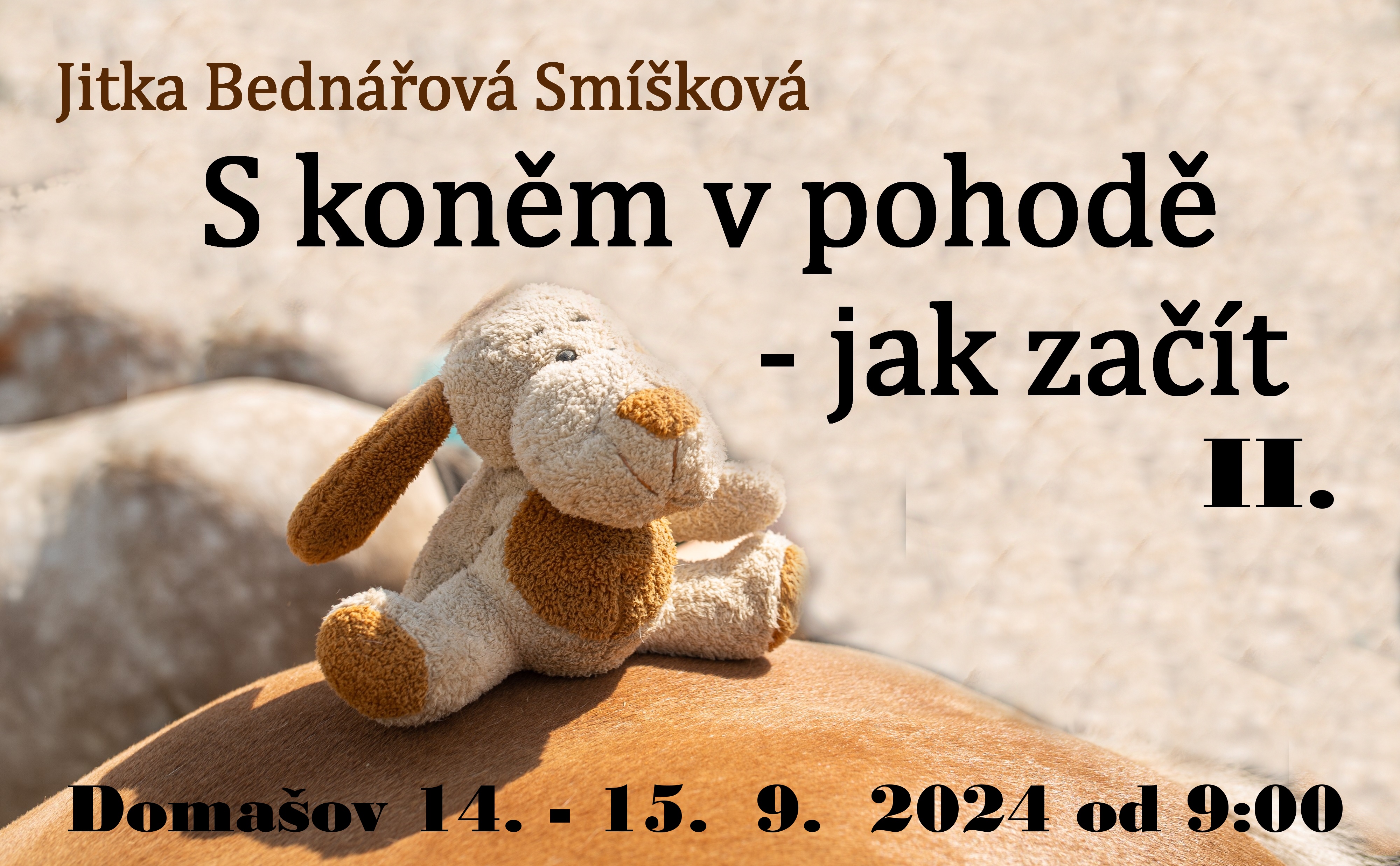 s koněm v pohodě jak začít 2