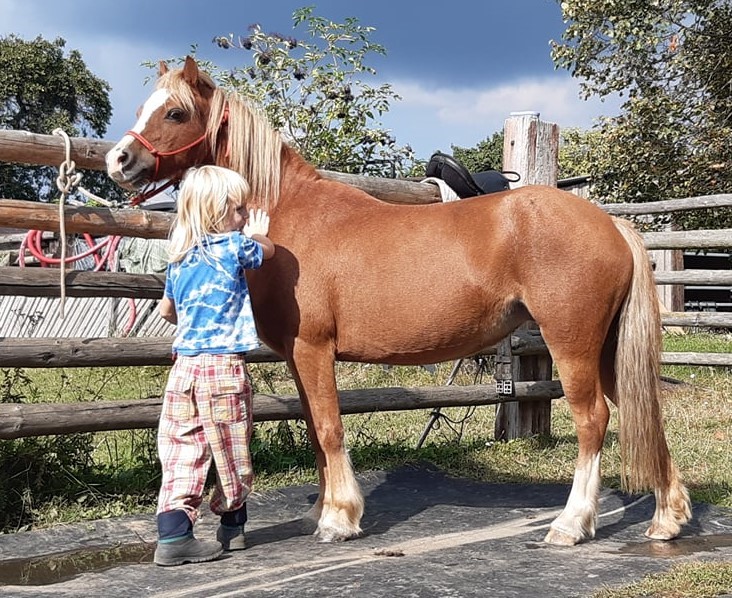 dítě a pony