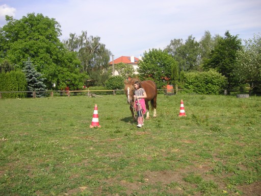 PICT2299