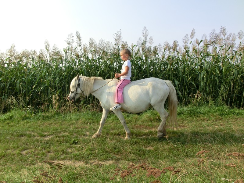 CIMG4123
