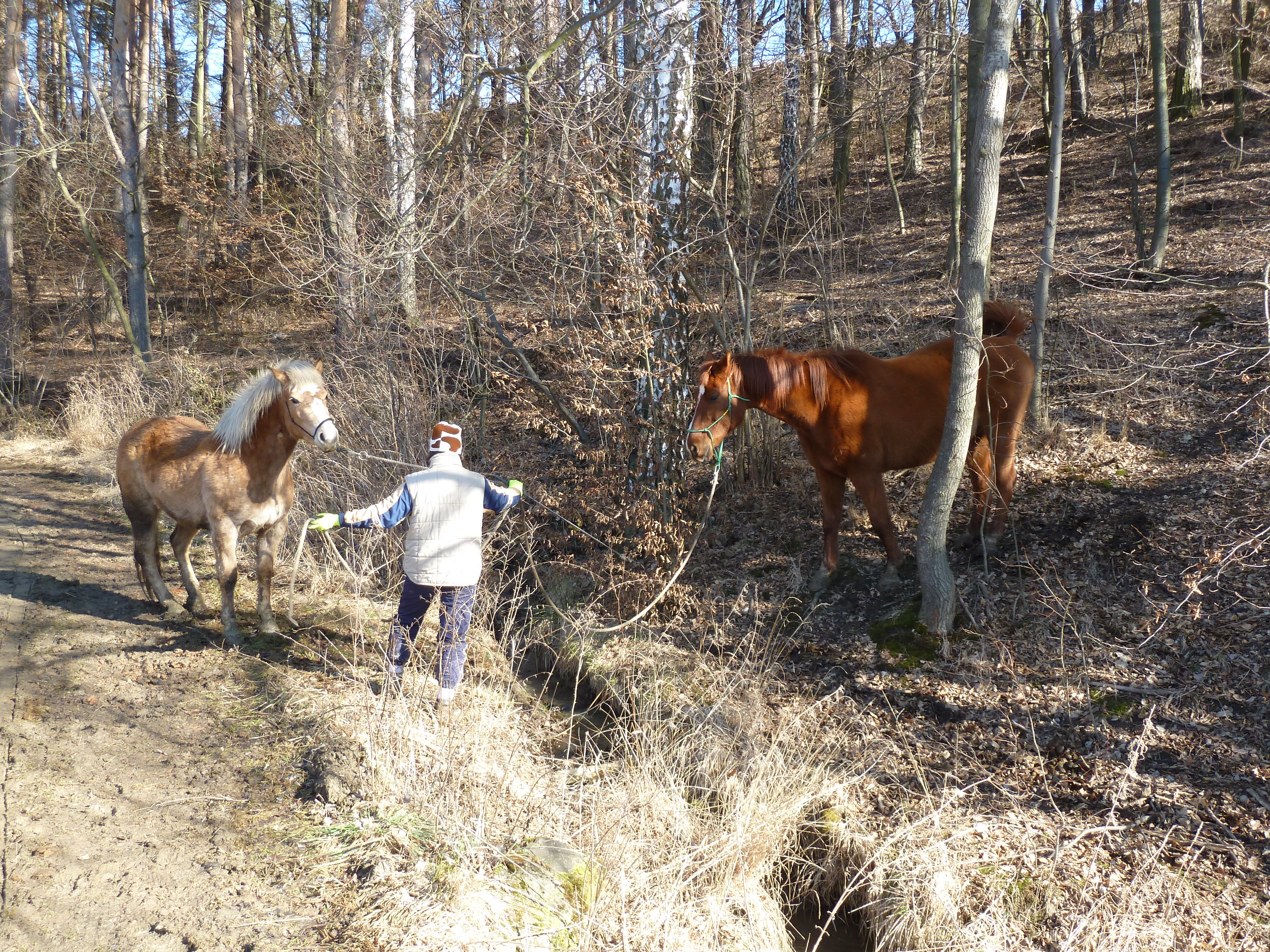 P1020215 – kopie