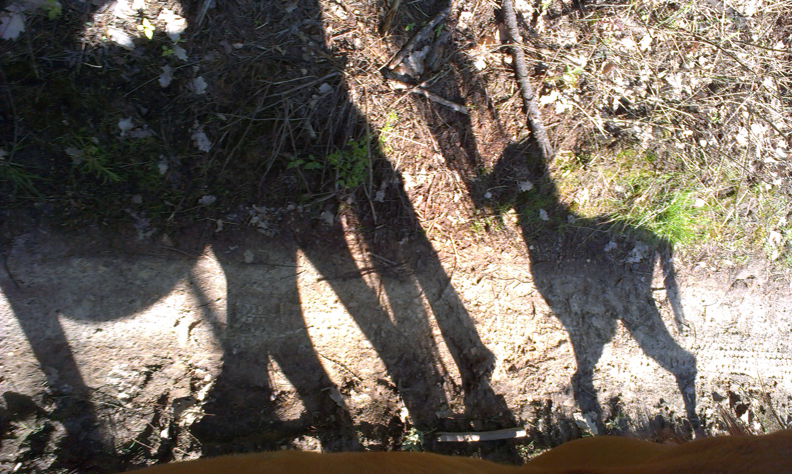 IMAG0443