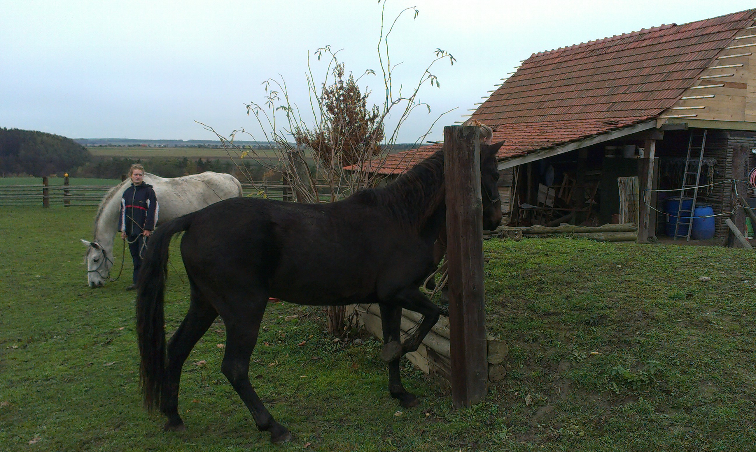 IMAG8544