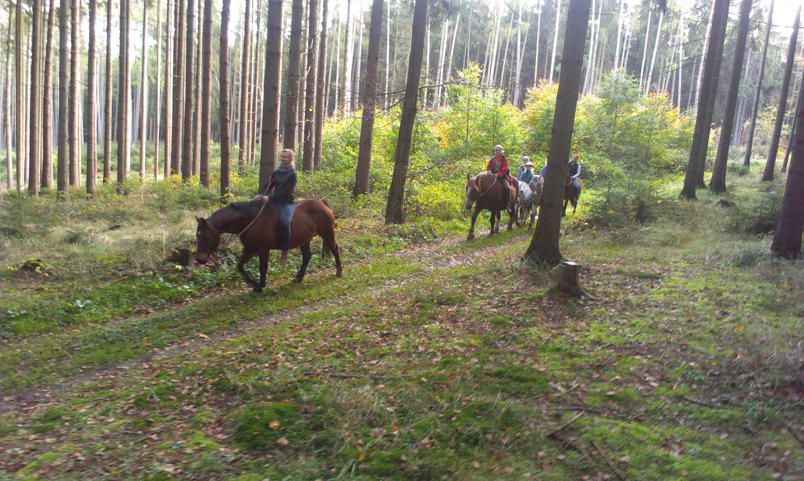 dáda vede všechny 21.10. 2014