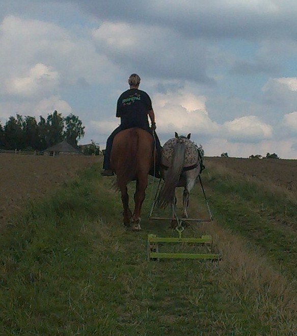 gita skonem.1