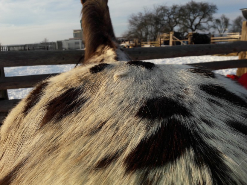 20180219_162021 - kopie