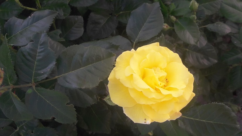 20180526_124633