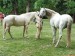 IMG_20220528_145126